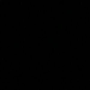 Meet your Posher, Gavin